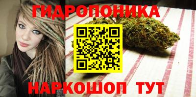 стаф Янаул