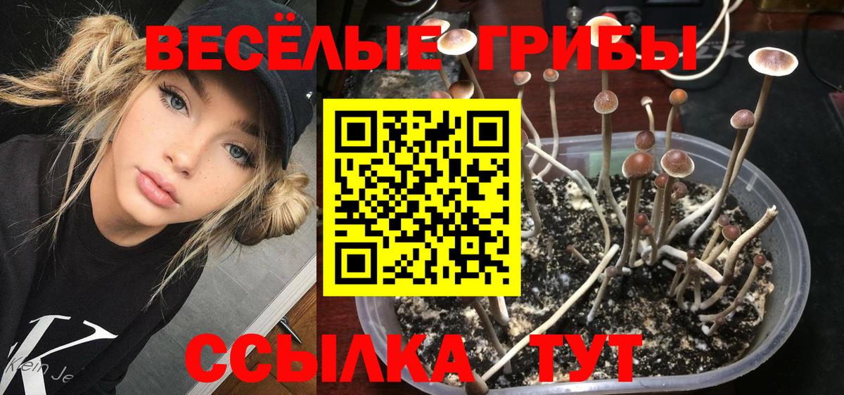 Галлюциногенные грибы мухоморы Гагарин
