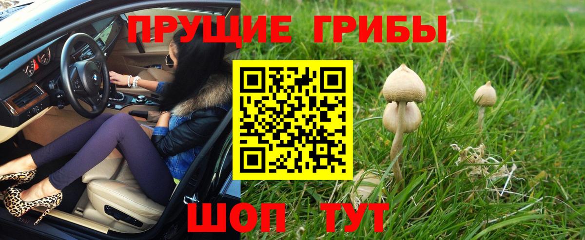 где найти наркотики  Вход с VPN  Гагарин  Галлюциногенные грибы MAGIC MUSHROOMS 